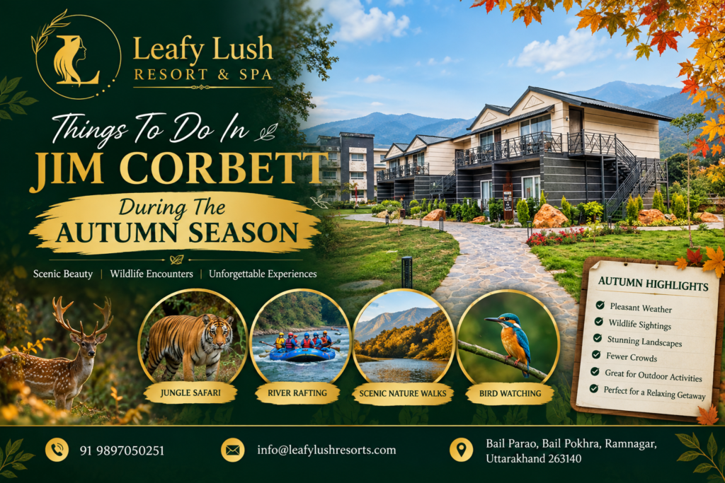 Best Luxury Resort in Jim Corbett